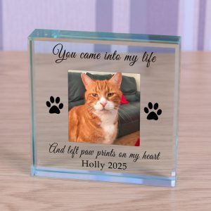 Personalised Pet Photo Memorial Glass Token