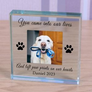 Personalised Pet Photo Memorial Glass Token