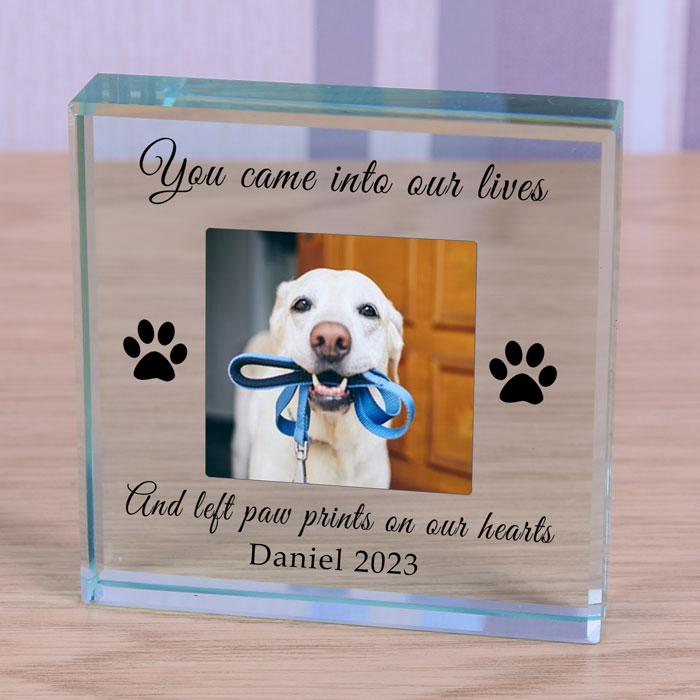 Personalised Pet Photo Memorial Glass Token