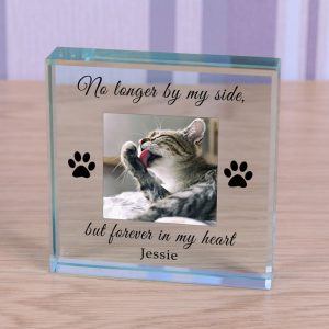 Personalised Pet Memorial Glass Block Forever in my Heart