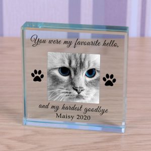 Personalised Photo Pet Memorial Glass Token Favourite Hello