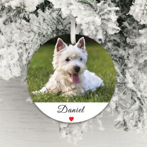 Personalised Acrylic Pet Photo Decoration