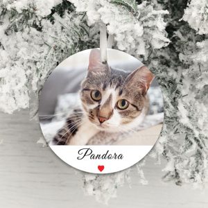 Personalised Acrylic Pet Photo Decoration
