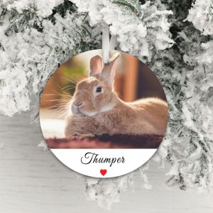 Personalised Acrylic Pet Photo Decoration