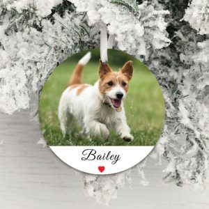 Personalised Acrylic Pet Photo Decoration