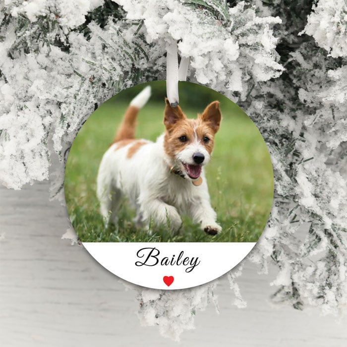 Personalised Acrylic Pet Photo Decoration