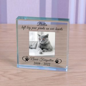 Personalised Glass Pet Memorial Token Never Forgotten