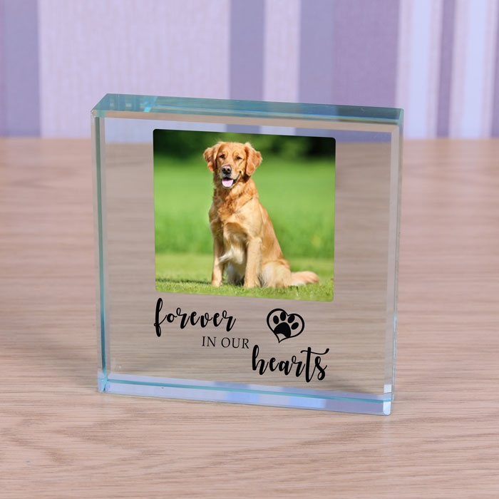 Pet Memorial Glass Photo Block Forever in our Hearts