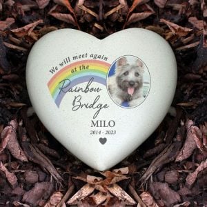 Personalised Pet Rainbow Bridge Photo Memorial Resin Heart