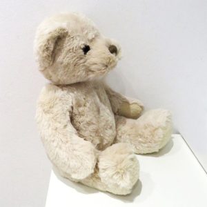 Personalised Luxury Teddy Bear & Script Name Disc