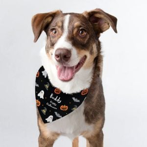 Personalised Halloween Dog Bandana Small Medium Dogs