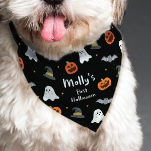 Personalised Halloween Dog Bandana Small Medium Dogs
