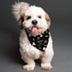 Personalised Halloween Dog Bandana Small Medium Dogs