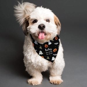 Personalised Halloween Dog Bandana Small Medium Dogs