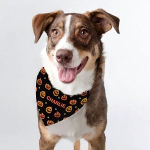 Personalised Pumpkin Patch Dog Bandana Small to Medium Dogs