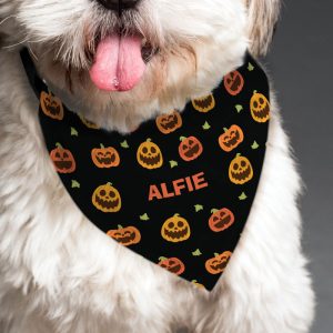 Personalised Pumpkin Patch Dog Bandana Small to Medium Dogs