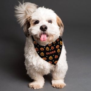 Personalised Pumpkin Patch Dog Bandana Small to Medium Dogs