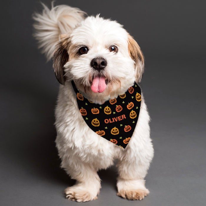 Personalised Pumpkin Patch Dog Bandana Small to Medium Dogs