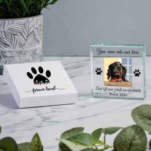 Gift Boxed Pet Memorial Photo Glass Token for Dog or Cat