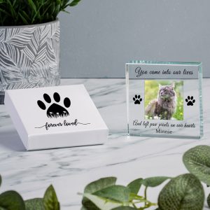 Gift Boxed Pet Memorial Photo Glass Token for Dog or Cat
