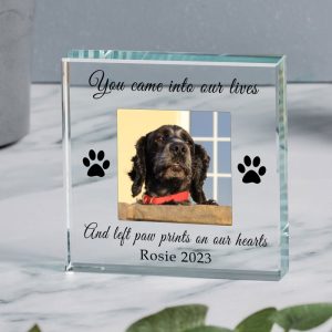 Gift Boxed Pet Memorial Photo Glass Token for Dog or Cat