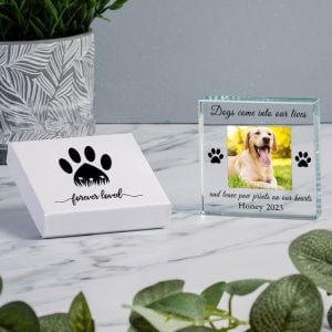 Gift Boxed Dog Memorial Photo Upload Glass Keepsake Block