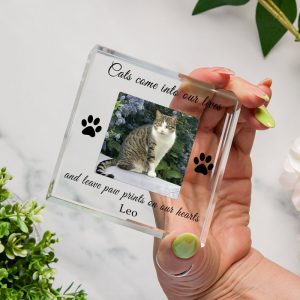 Gift Boxed Cat Memorial Photo Upload Glass Token