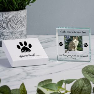 Gift Boxed Cat Memorial Photo Upload Glass Token