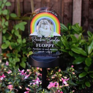 Personalised Rainbow Bridge Pet Memorial Light Up Plaque