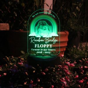 Personalised Rainbow Bridge Pet Memorial Light Up Plaque