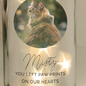 Personalised Photo Upload LED Jar Pet Cat Memorial Gift