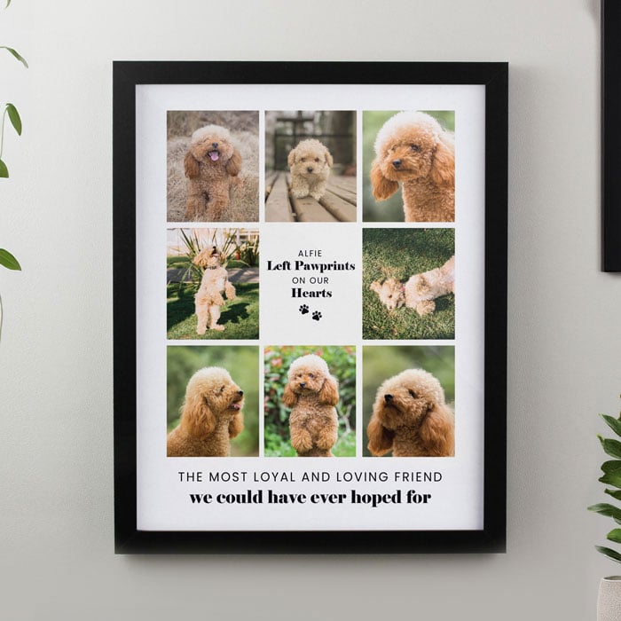 Personalised Pet Memorial Photo Upload Black Framed Print