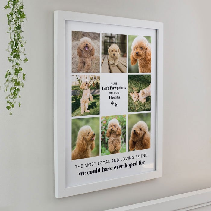 Personalised Pet Memorial Photo Upload White Framed Print