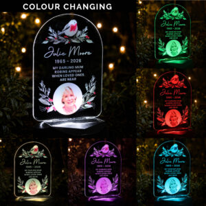 Personalised Robin Photo Memorial Solar LED Light